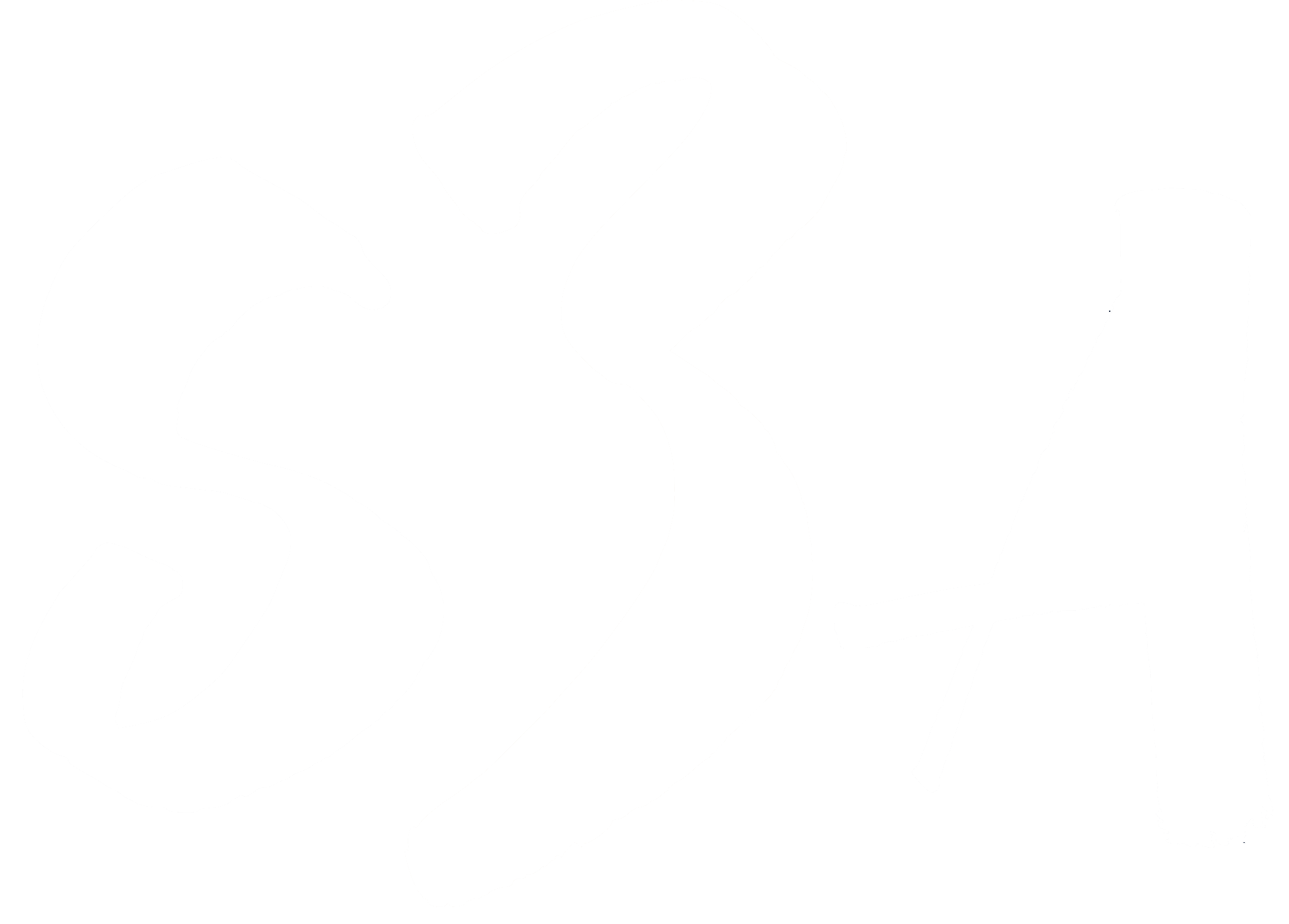 S3A
